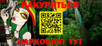 шишки Камышлов